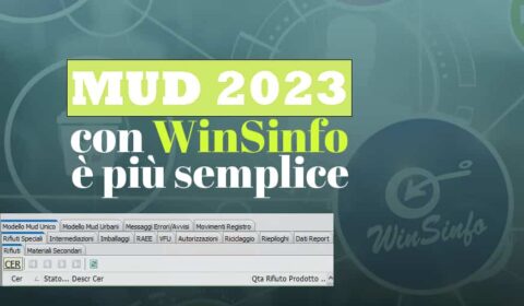 Schermata di Winsinfo e sullo sfondo logo di Winsinfo