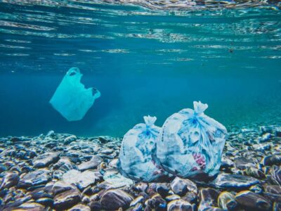 Giornata mondiale senza sacchetti di plastica