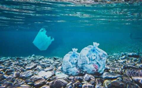 Softline giornata mondiale senza sacchetti di plastica: sacchetti di plastica abbandonati nel mare