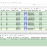 Una schermata di Winsinfo